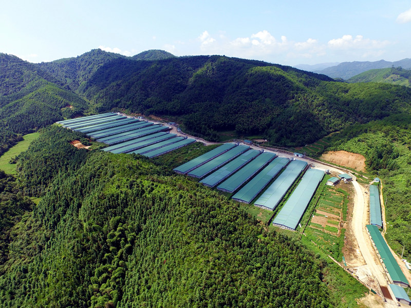 首页- 不朽情缘电子游戏官网
