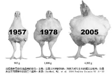 首页- 不朽情缘电子游戏官网