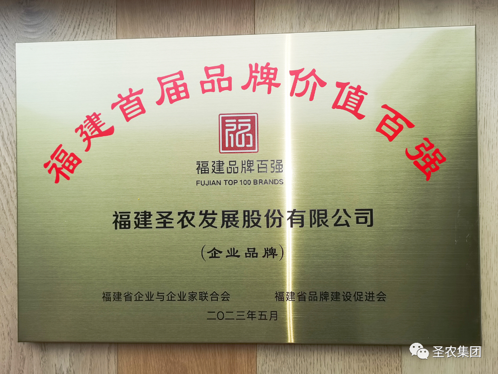 首页- 不朽情缘电子游戏官网